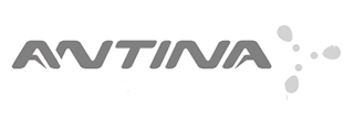 Antina